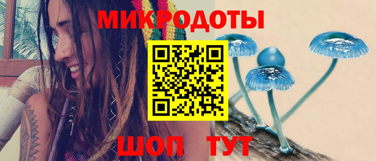 Галлюциногенные грибы MAGIC MUSHROOMS  Галлюциногенные грибы Magic Shrooms  Вход с VPN  Гагарин 