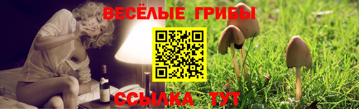 Галлюциногенные грибы Cubensis Гагарин